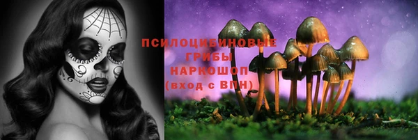 бутират Майский