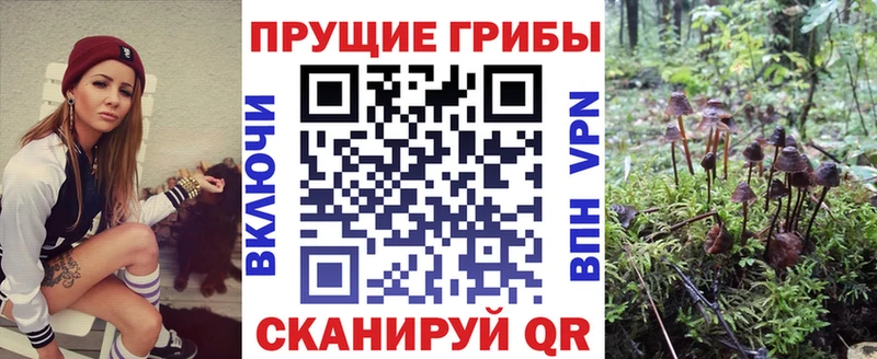 Псилоцибиновые грибы мицелий  Шумиха 